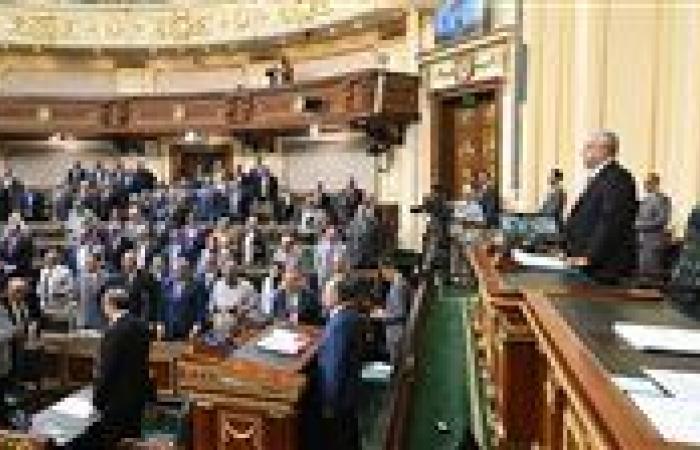 سؤال فى النواب لترشيد استهلاك الكهرباء بدلاً من رفع أسعار شحن السيارات الكهربائية