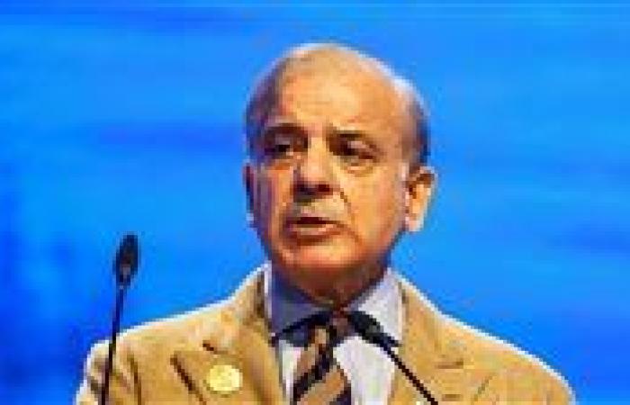 رئيس وزراء باكستان: الاعتداء الإسرائيلي يقوض جهود السلام ويستهدف الوساطة الدبلوماسية