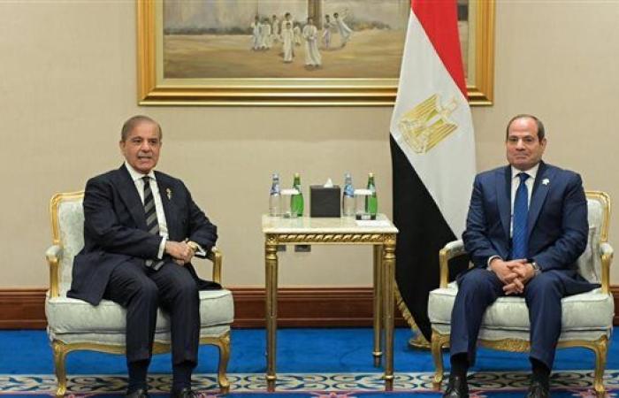 رئيس وزراء باكستان يثمن الدور المصرى فى إيصال المساعدات لغزة