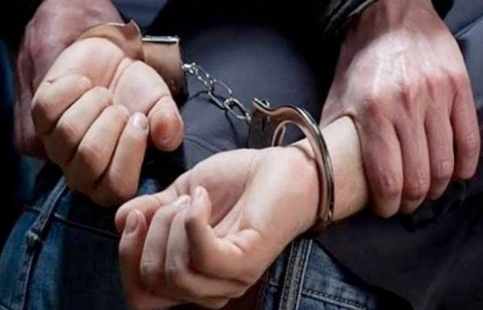 ضبط المتهم بإنشاء وإدارة 25 موقعًا إلكترونيًا لبث المصنفات المقرصنة بالشرقية