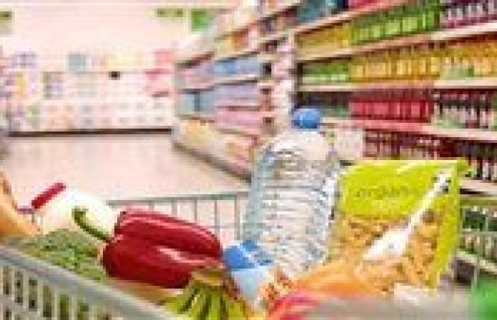 إلزام منتجي ومستوردي السلع الغذائية بالمواصفات القياسية المصرية
