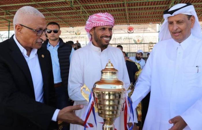 بمشاركة 400 هجين تمثل 5 محافظات.. مهرجان الهجن يختتم فعالياته بالعريش لجانب معارض للصقور والأزياء والتراث (صور)