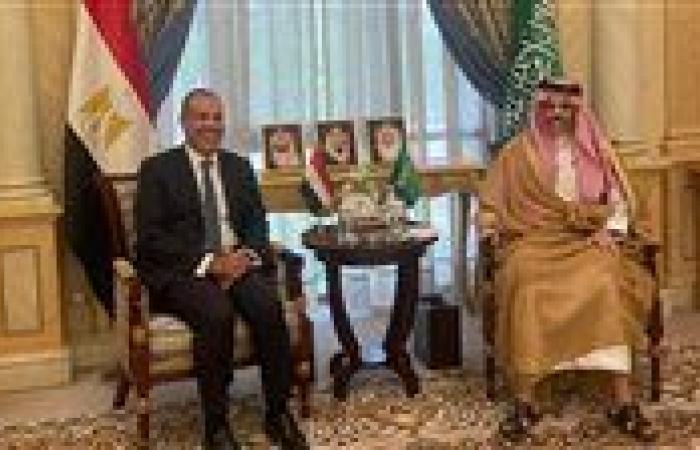 وزير الخارجية يبحث مع نظيره السعودي التطورات الإقليمية وتعزيز التعاون الثنائي