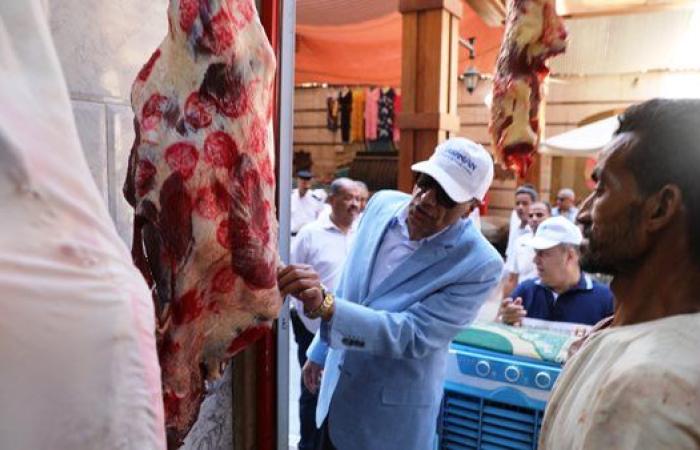 محافظ أسوان يفاجئ محلات الجزارة والصيدليات ويوجه بتشديد الرقابة التموينية