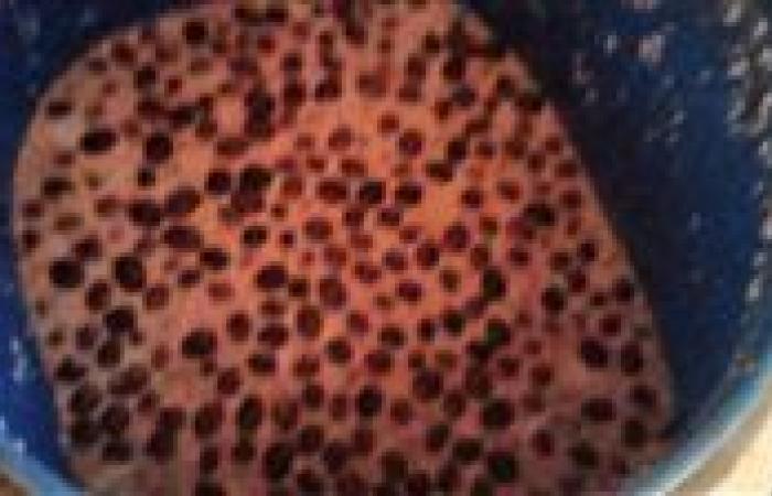 ضبط 2 طن مخللات مجهولة المصدر ودون بيانات داخل مصنع بالغربية