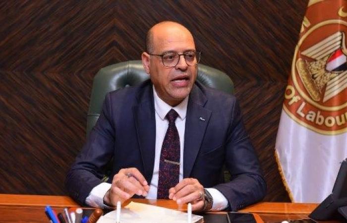 فرص عمل لذوي همم وتنفيذ برامج تدريب مهني.. نشاط  10 مديريات عمل  بالمحافظات