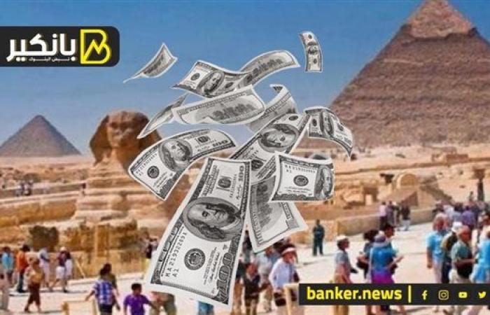 خطة الحكومة لزيادة موارد السياحة وأعداد ...