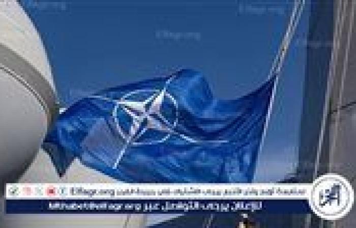 إعلام: الناتو لا يستطيع تحمل تكاليف استخدام الصواريخ والمقاتلات ضد المسيرات الرخيصة