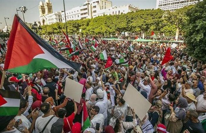 مظاهرة حاشدة وسط فيينا لدعم القضية الفلسطينية ورفض تهجير سكان قطاع غزة