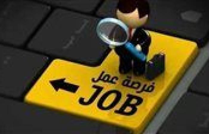 كيف تحصل على وظيفة بمرتب مجزي.. سجل الآن (رابط مباشر)