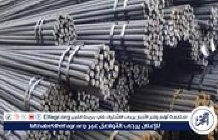 أسعار الحديد في المنيا اليوم الأحد 21 سبتمبر 2025