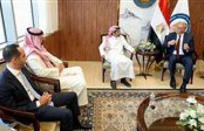 وزير البترول يبحث تعزيز الاستثمارات السعودية في صناعات البتروكيماويات والأسمدة
