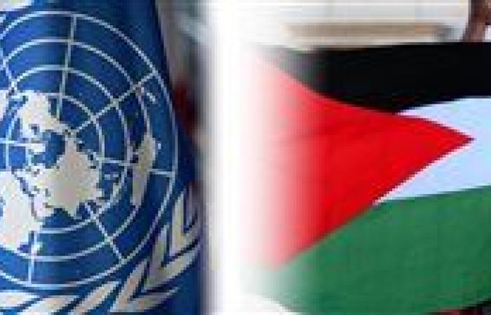الاعتراف بدولة فلسطين|لحظة تاريخية في الأمم المتحدة تعيد رسم خريطة الشرق الأوسط.. فهل يتجاوز صوت العالم الضغوط الأميركية؟