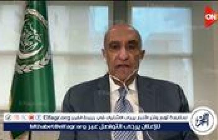 السفير ماجد عبد الفتاح: الاعترافات المتتالية بفلسطين تفتح الطريق لعضوية كاملة بالأمم المتحدة