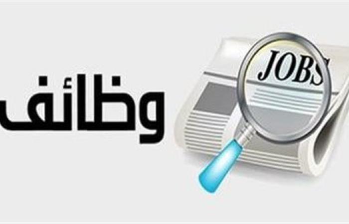 برواتب تصل 16 ألف جنيه.. طريقة التقديم على وظائف وزارة الشباب والرياضة 2025