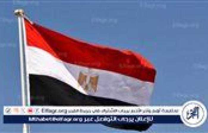 عاجل- الهيئة العامة للاستعلامات: تواجد القوات المصرية في سيناء يهدف لتأمين الحدود وحماية الأمن القومي