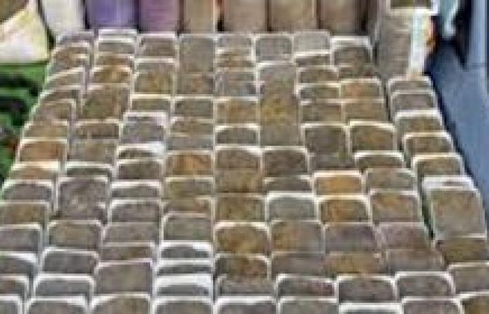 الداخلية تضبط طن وربع مخدرات بقيمة 125 مليون جنيه في القاهرة والجيزة
