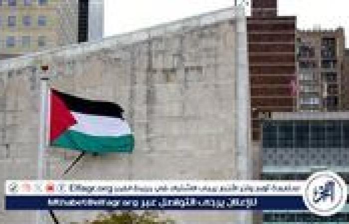 سفير فلسطين السابق لدى الاتحاد الأوروبي: الاعترافات المتتالية بالدولة الفلسطينية تمثل تصحيحًا تاريخيًا