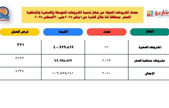 المشروعات الصغيرة: تمويل 2080 مشروعًا بقيمة 103 ملايين جنيه بقنا