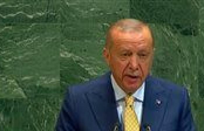 أردوغان: الصوت الفلسطيني أصبح قضية عالمية.. وحكومة نتنياهو ترتكب إبادة جماعية ضد جيرانها