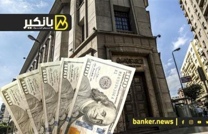 عائد ثابت يصل إلى 23.7%.. تفاصيل طرح المركزي سندات خزانة بقيمة 24 مليار جنيه