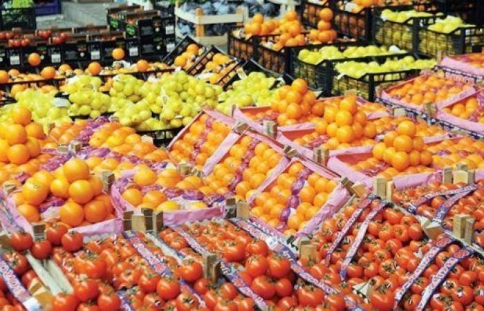 "فاروق": الصادرات الزراعية المصرية تتجاوز  7.2 مليون طن