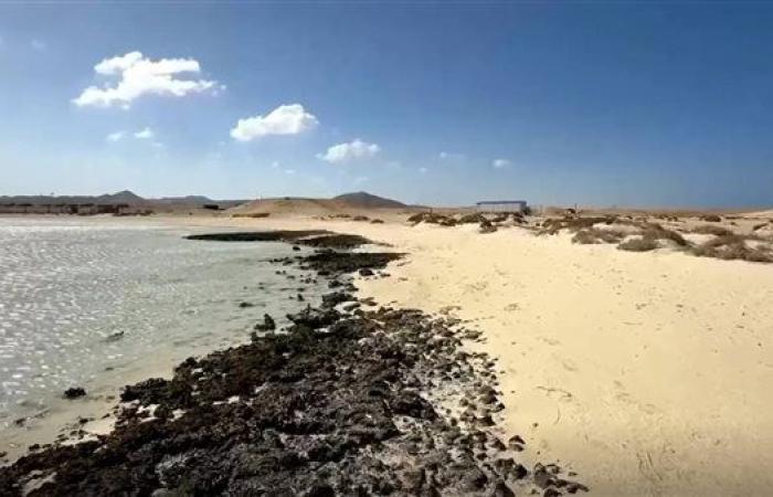 مصر تفتح كنز البحر الأحمر.. خطة محكمة لجذب أكثر من 3 مليارات دولار