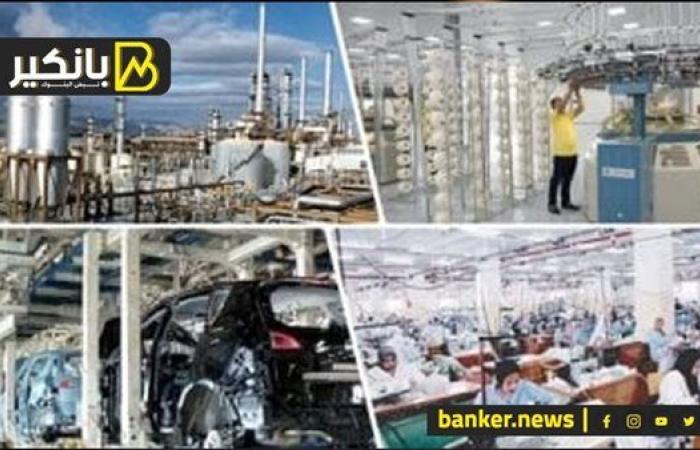 ما تأثير قرار الحكومة برفع أسعار الغاز للمصانع؟
