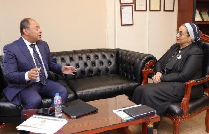 رئيس "تنمية الصعيد" يبحث مع رئيسة "القومي للمرأة" تعزيز التعاون لتمكين المرأة ودعم التنمية
