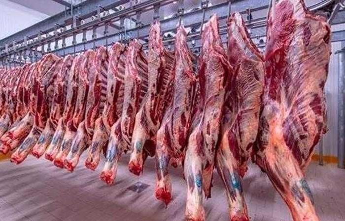 أسعار اللحوم في مصر اليوم الإثنين