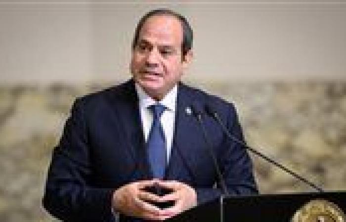 مصادر لـ تحيا مصر: الرئيس اعترض على المادة 114 من مشروع قانون الإجراءات الجنائية لإتاحة مزيد من البدائل للحبس الاحتياطي
