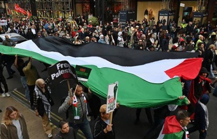 خبير سياسي: الاعترافات المتتالية بدولة فلسطين مهمة وتأتي في وقت حاسم (فيديو)