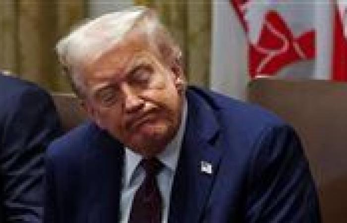 ترامب: أوروبا في خطر داهم بسبب الهجرة غير الشرعية