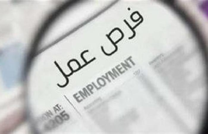 وظائف خالية اليوم الثلاثاء.. مطلوب مهندسين وأفراد أمن وشيفات مطاعم