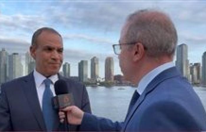 وزير الخارجية: رسالة مصر واضحة وهي وقف فوري للحرب في غزة وحل الدولتين السبيل الوحيد للتسوية