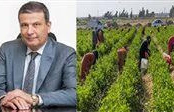وزير الزراعة: الصادرات الزراعية المصرية تجاوزت 7.2 مليون طن