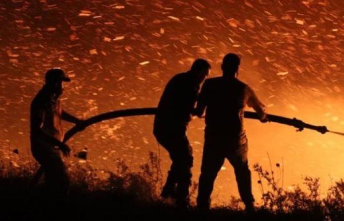 سوريا: فرق الإطفاء تكافح لإخماد حرائق فى غابات جبل التركمان بريف اللاذقية