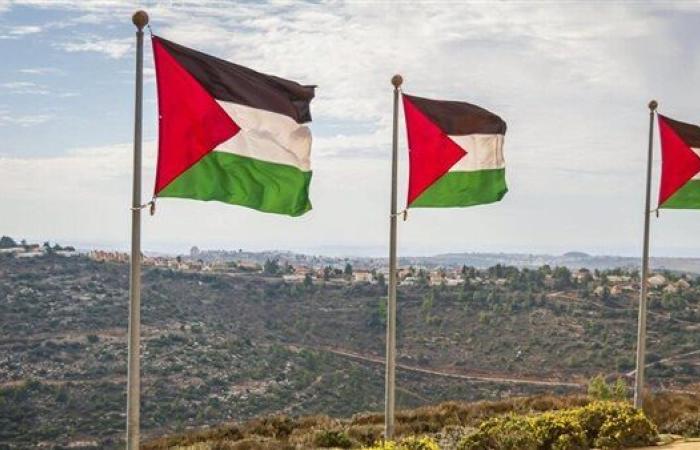 ما بين ترحيب ومعارضة.. تباين ردود أفعال الأحزاب السياسية الفرنسية بعد اعتراف باريس بدولة فلسطين
