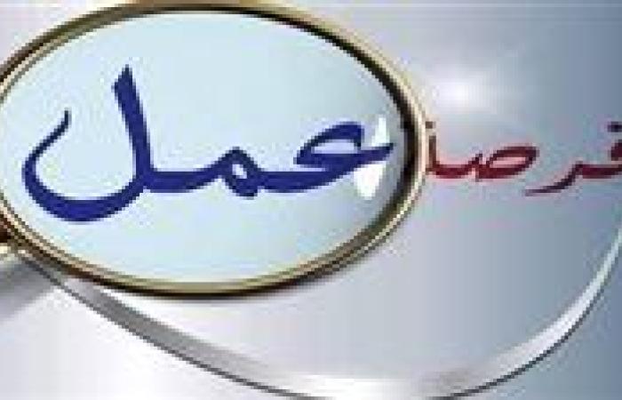وزارة العمل تعلن عن 300 فرصة عمل جديدة برواتب تصل إلى 10 آلاف جنيه..تفاصيل