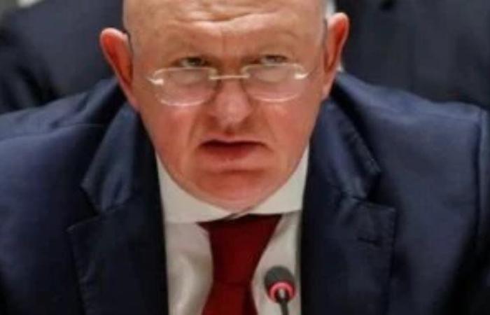 مندوب روسيا بمجلس الأمن: إسرائيل تريد حرب لا تنتهي في غزة حتى لو كان على حساب المحتجزين