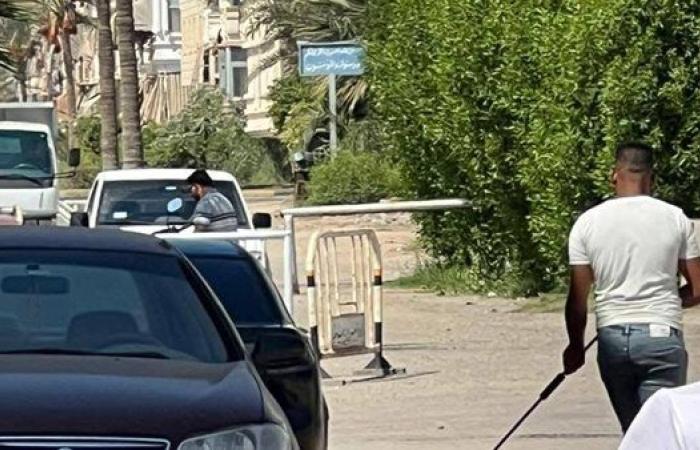 حملات موسعة لمواجهة الكلاب المسعورة في دمياط