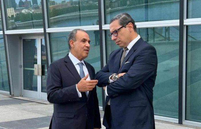 وزير الخارجية المصري يعقد مباحثات مع نظيره القبرصي على هامش أعمال الجمعية العامة في نيويورك