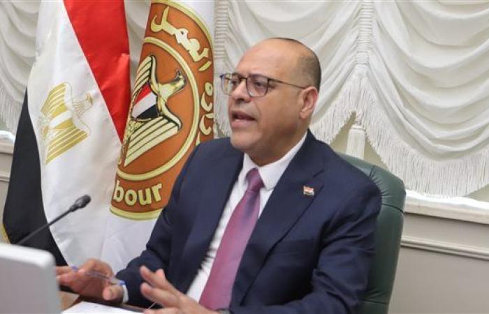 وزارة العمل تنفذ حملات توعوية وتفتيشية ببورسعيد ...