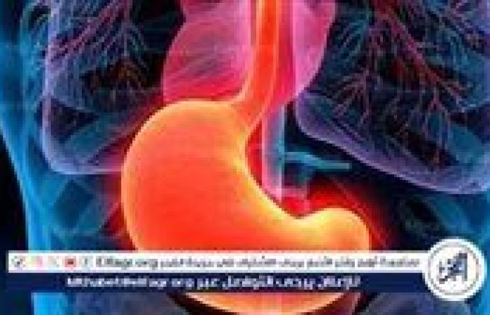 العلاقة بين التغذية والالتهاب المزمن: الحقائق العلمية بعيدًا عن المبالغات