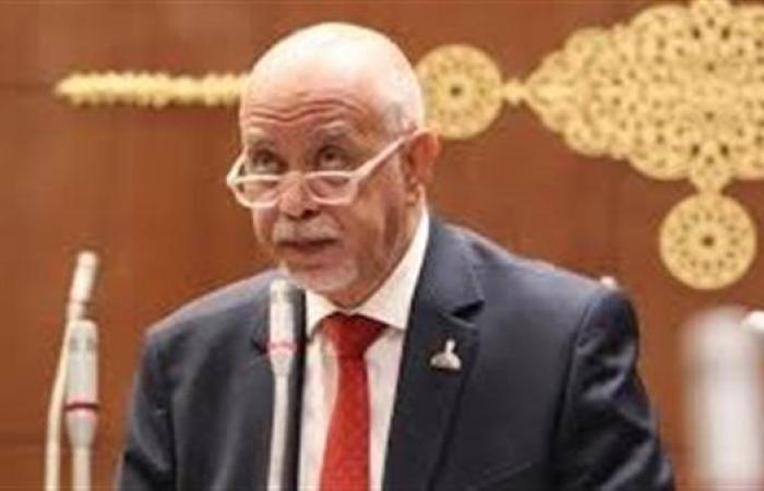 الجندي لـ"وزير الصحة": معاناة المرضى فاقت الحد والاستغاثات بلا استجابة