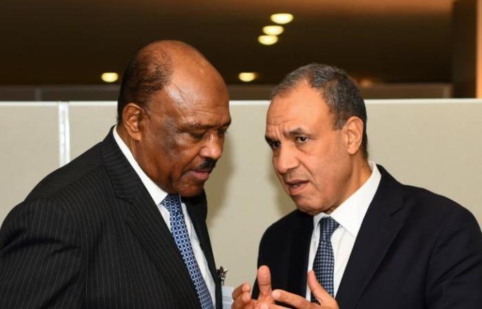 وزير الخارجية يؤكد موقف مصر الثابت الداعم لأمن واستقرار ووحدة السودان