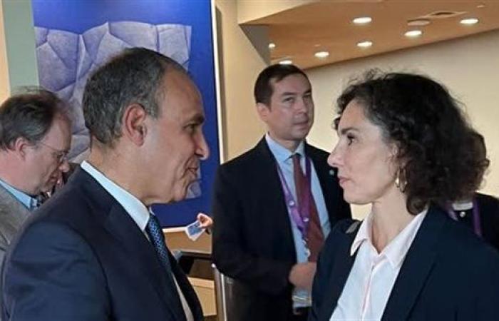 وزير الخارجية يلتقي المفوضة الأوروبية لإدارة الأزمات