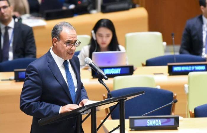 وزير الخارجية يشارك في الاجتماع رفيع المستوى للاحتفال باليوم العالمي للقضاء على الأسلحة النووية