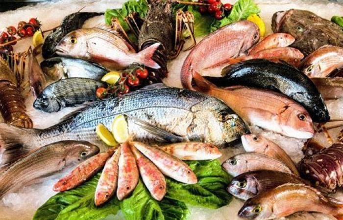 شعبة الأسماك تكشف سبب ارتفاع الأسعار