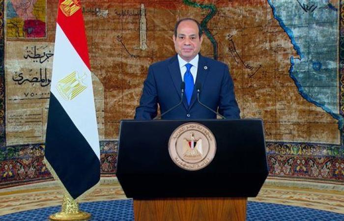 السيسي: "لا يستطيع أحد أن يؤذي مصر"